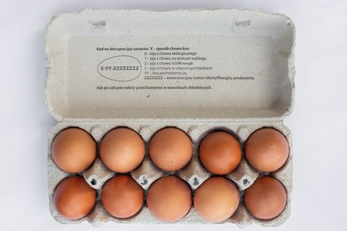 ALDI kończy z „trójkami” – jaja klatkowe znikają z półek ALDI kończy z „trójkami” – jaja klatkowe znikają z półek